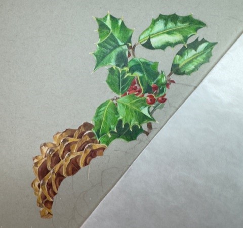 An in-progress photo of a Christmas drawing of holly and a pinecone