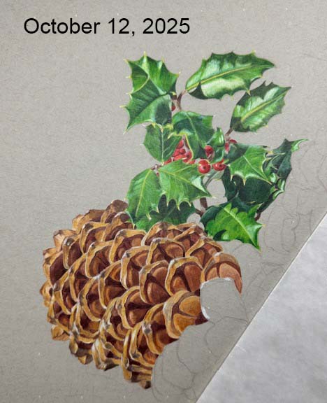 A second in-progress photo of a Christmas-themed drawing of holly and pinecones