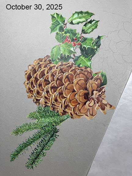 A third in-progress photo of a Christmas-themed drawing of holly and pinecones