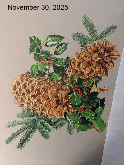 A fourth in-progress photo of a Christmas themed drawing