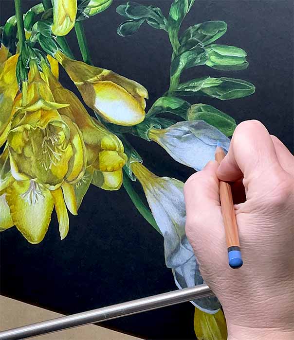 An upside down drawing in progress